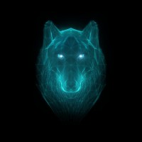 Howl logo - Similar company to Janus Software