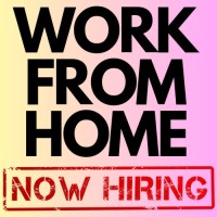 WFH - WFO / Jobs for Freshers -Expereinced logo - Similar company to Careerboard.In
