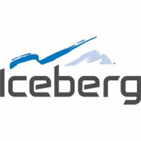 Iceberg Enterprises logo - Similar company to Indeecotton