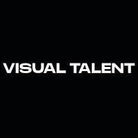 VISUAL TALENT logo - Similar company to Foxall Studio