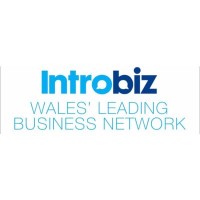 Introbiz logo - Similar company to Hbba Global