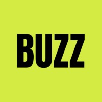 Buzz Accounting logo - Similar company to Operational Accounting Systems Limited (O-A-Sys)