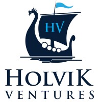 Holvik Ventures, LLC logo - Similar company to Training Systems Design