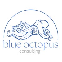 Blue Octopus Consulting logo - Similar company to Blue Octopus Intelligence