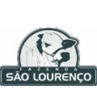 Grupo Sao Lourenco logo - Similar company to Ldi Service