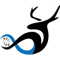 RAN BioLinks logo - Similar company to Diamind Solutions