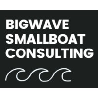 Bigwave Consulting logo - Similar company to Techday Hq