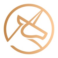 Casimo Gaming logo - Similar company to Deep Games Plus+
