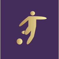 Home Team Soccer logo - Similar company to Evolutionary Tools, Inc.