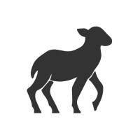 Positive Lamb Foundation logo - Similar company to Surface Renewables