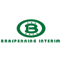 BRASPENNING INTERIM logo - Similar company to Egselec