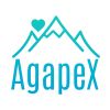 Agapex logo - Similar company to Christopher Lind Co.