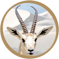 AL-REEM PETROLIUM logo - Similar company to Albania Petrolium Ltd