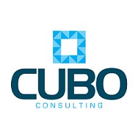 Cubo Consulting IT logo - Similar company to Cubo Progetti