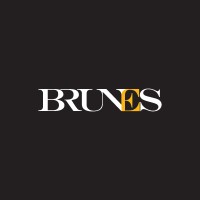Brunes Group logo - Similar company to Dvg Group