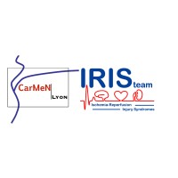 IRIS Team, Carmen Laboratory logo - Similar company to Prince Dating App