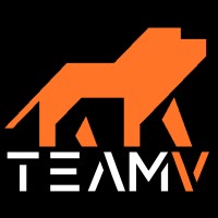 TeamV logo - Similar company to Fjellvann
