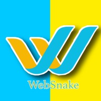 websnake logo - Similar company to Evoquesys