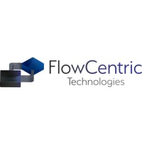 Flowcentric Technologies INDIA Pvt Ltd logo - Similar company to Icebuddy