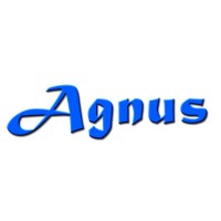 AGNUS Assessoria Empresarial