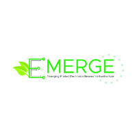 Emerge Project logo - Similar company to Infrachip