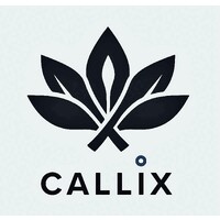 Callix Research logo - Similar company to Frontend Solutions