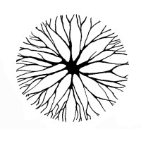 Living Woodlands logo - Similar company to Ace Enterprise Park