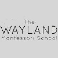 The Wayland Montessori School Boston logo - Similar company to Power Probe Group