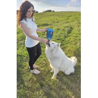 Dr.Veneta logo - Similar company to Design4Pets