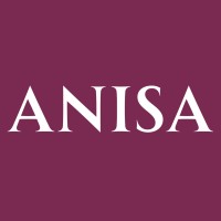ANISA logo - Similar company to Rigor Solutions