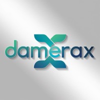 Damerax cloud solutions logo - Similar company to Onewise