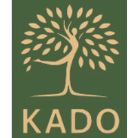 KADO Executive Operations logo - Similar company to Advance Data Labs Llc
