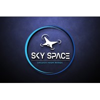 SKYSPACEAI logo - Similar company to Teck Team Solutions