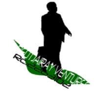 ELDEOTJAIRAY  VENTURES LIMITED logo - Similar company to Bomdrive Limited