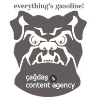 Çağdaş Content Agency logo - Similar company to Wubbie Studio