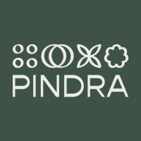 Pindra Limited logo - Similar company to Alphacapture Protocol