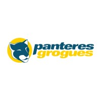 Panteres Grogues logo - Similar company to Webidoo Spain