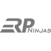 ERP Ninjas logo - Similar company to Nerdigital