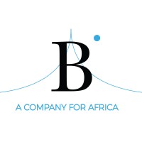 Bridgeo logo - Similar company to Tac Sarl