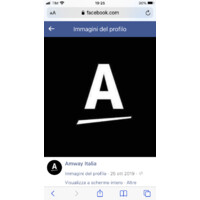 AMWAY ITALIA S.R.L. logo - Similar company to Koormal Group