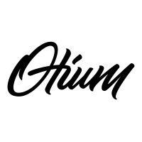 Otium Holdings logo - Similar company to Nwtm Management