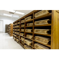 DC Archives Foundation logo - Similar company to Serenity Ridge Natural Burial Cemetery