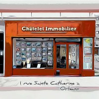 CHATELET IMMOBILIER logo - Similar company to Immodream France