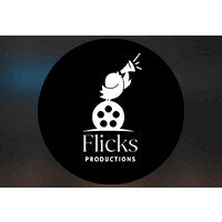 The Flicks Production logo - Similar company to Big Solutions