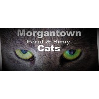 Morgantown Feral & Stray Cats logo - Similar company to Etravel