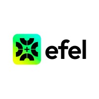EFEL CONSULTING logo - Similar company to Tecretail Limited