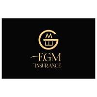 EGM Insurance Brokers logo - Similar company to Probizz Tech Insurance Brokers