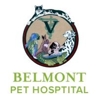 Belmont Pet Hospital