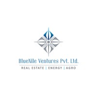 Blue Nile Ventures Pvt. Ltd. logo - Similar company to The Interisk Group