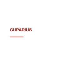 CUPARIUS ICC logo - Similar company to Visionary Organizing Lab